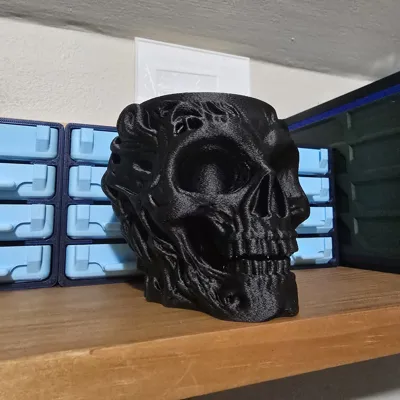 https://makerworld.bblmw.com/makerworld/model/1202378/1215578/ratings/b7febf70-00bd-11f0-9d0b-d3bd5f6e1372.jpg