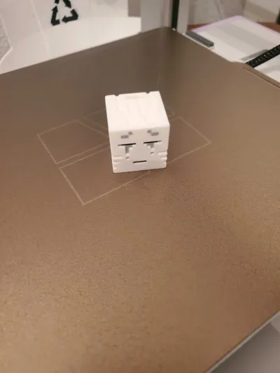 https://makerworld.bblmw.com/makerworld/model/1202599/1215827/ratings/a83de8e0-8ec0-11f0-a14e-8796ea9b8dc4.jpg