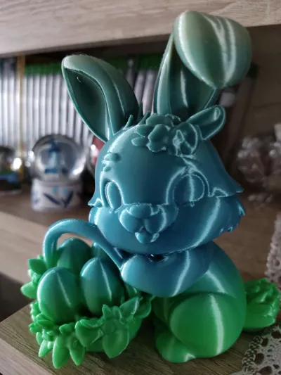 https://makerworld.bblmw.com/makerworld/model/1203781/1217270/ratings/40a83690-0f0e-11f0-b026-f30fb5da99a8.jpg