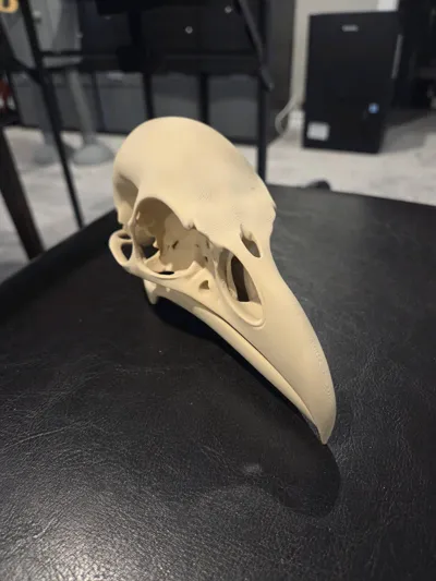 https://makerworld.bblmw.com/makerworld/model/1205222/1218944/ratings/8616e8d0-adf0-11f0-bee2-6f69b34acbda.jpg