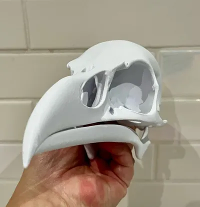 https://makerworld.bblmw.com/makerworld/model/1205222/1218944/ratings/ec7ec300-8e00-11f0-a211-077b07744d60.jpg