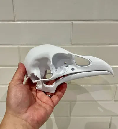https://makerworld.bblmw.com/makerworld/model/1205222/1218944/ratings/ecb20800-8e00-11f0-a211-077b07744d60.jpg