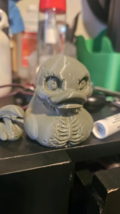 https://makerworld.bblmw.com/makerworld/model/1205407/1219174/ratings/b03511a0-337a-11f0-a020-ed6611c8e082.jpg