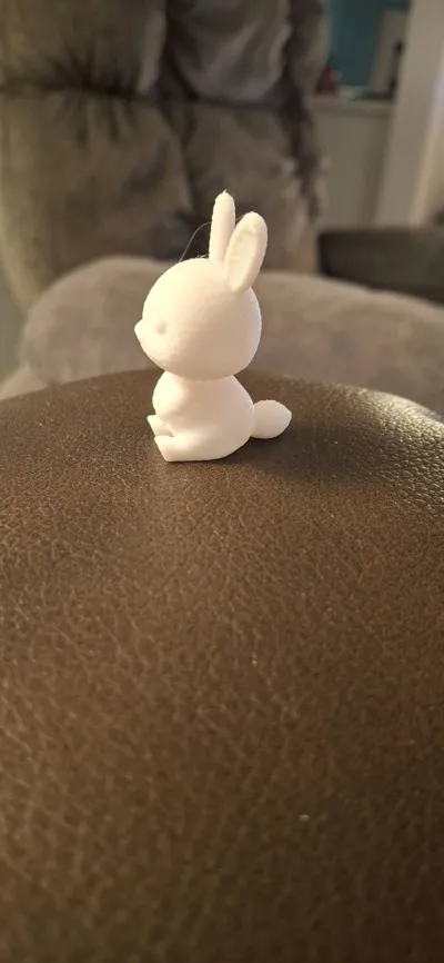 https://makerworld.bblmw.com/makerworld/model/1205408/1226889/ratings/cdf68480-1746-11f0-87e2-1bc8f87ac513.jpg