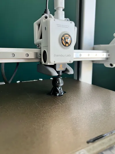 https://makerworld.bblmw.com/makerworld/model/1205408/1226889/ratings/e1e85750-12bb-11f0-807a-3ba02c7249e4.jpg