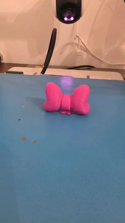 https://makerworld.bblmw.com/makerworld/model/1205590/1219382/ratings/6686d390-dc03-11f0-8a2d-0bc80a40eb6f.jpg