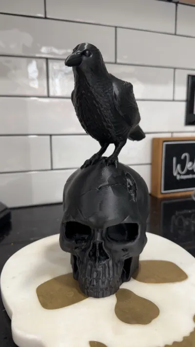 https://makerworld.bblmw.com/makerworld/model/1205726/1219737/ratings/8a565d80-0c9d-11f0-a030-b90f8a4d9daa.jpg