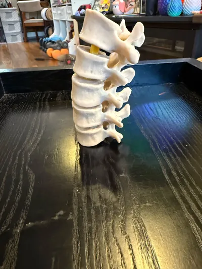 https://makerworld.bblmw.com/makerworld/model/1205891/1219791/ratings/5a5de850-bbd4-11f0-bb6c-cb222df37118.jpg