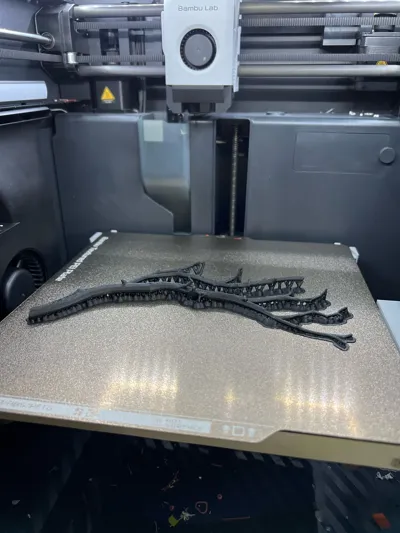 https://makerworld.bblmw.com/makerworld/model/1206629/1220636/ratings/f3adb4e0-846b-11f0-b0a8-9f015407c7b3.jpg