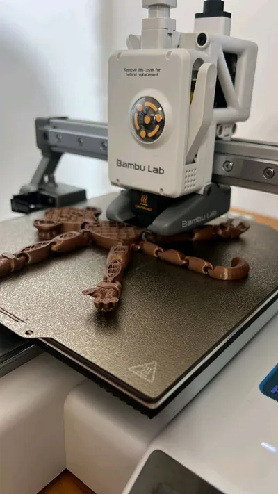 https://makerworld.bblmw.com/makerworld/model/1206937/1227399/ratings/7f87dd10-422c-11f0-aee8-cfd708822238.jpg