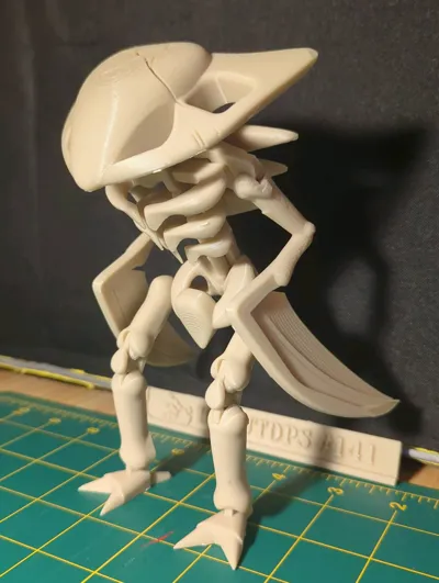 https://makerworld.bblmw.com/makerworld/model/1207330/1221406/ratings/b3fcfdf0-604f-11f0-90e7-93c66c92e244.jpg