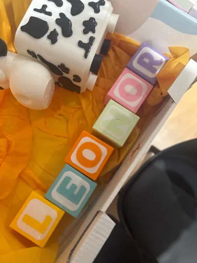 https://makerworld.bblmw.com/makerworld/model/1208161/1222416/ratings/67d340d0-b4df-11f0-920f-7135cd4960f4.jpg