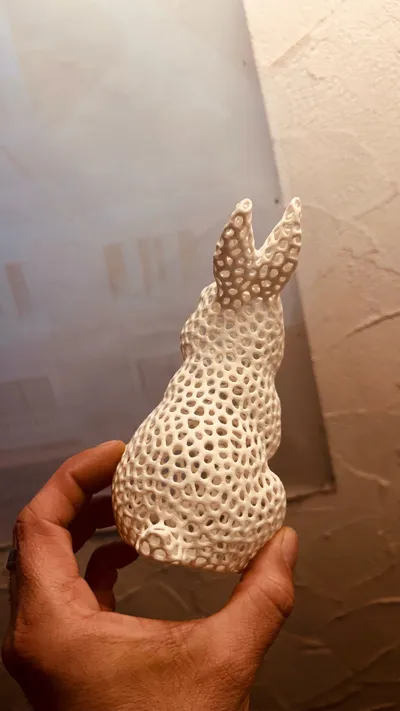 https://makerworld.bblmw.com/makerworld/model/1208518/1222830/ratings/d042ac10-106f-11f0-ab95-df8888fe9a19.jpg