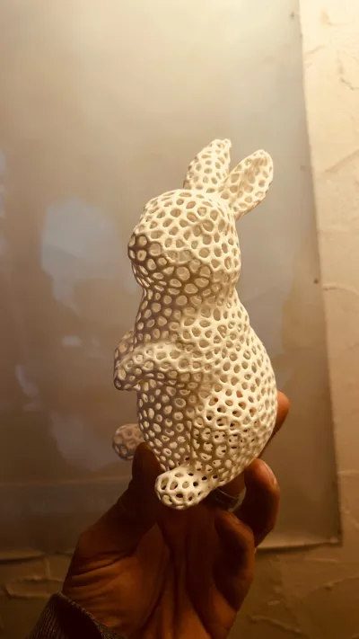 https://makerworld.bblmw.com/makerworld/model/1208518/1222830/ratings/d042d320-106f-11f0-ab95-df8888fe9a19.jpg