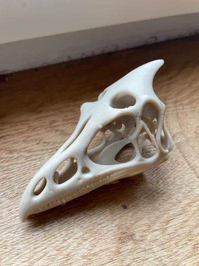 https://makerworld.bblmw.com/makerworld/model/1208742/1223089/ratings/704f5410-1458-11f0-b458-a7ed3c13510a.jpg