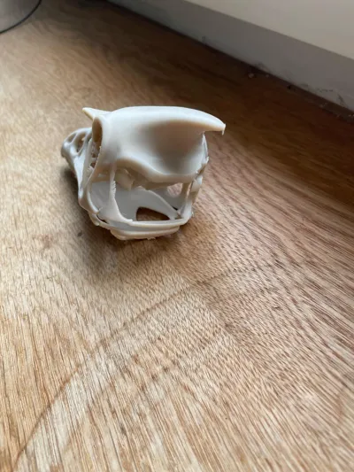 https://makerworld.bblmw.com/makerworld/model/1208742/1223089/ratings/7053e7f0-1458-11f0-b458-a7ed3c13510a.jpg
