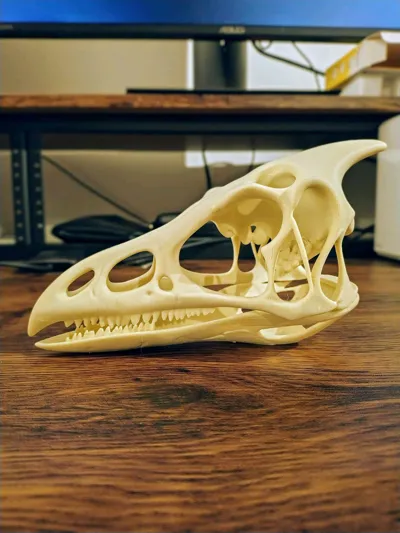 https://makerworld.bblmw.com/makerworld/model/1208742/1223102/ratings/3ac60e00-0ef5-11f0-baf1-557e89a47f86.jpg