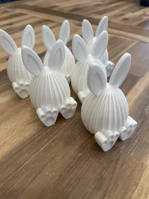 https://makerworld.bblmw.com/makerworld/model/1211042/1225841/ratings/e86450b0-0664-11f0-b07d-5371b7672cf9.jpg