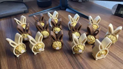 https://makerworld.bblmw.com/makerworld/model/1211278/1226155/ratings/3a9c23f0-1e00-11f0-8cc6-bb98f66c13e4.jpg
