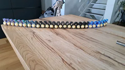 https://makerworld.bblmw.com/makerworld/model/1211278/1226155/ratings/9a430b20-1db0-11f0-828d-971236675e6a.jpg