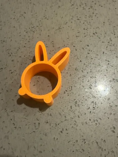 https://makerworld.bblmw.com/makerworld/model/1211278/1226155/ratings/e502cfb0-1b6c-11f0-bd50-414a2d3e8233.jpg