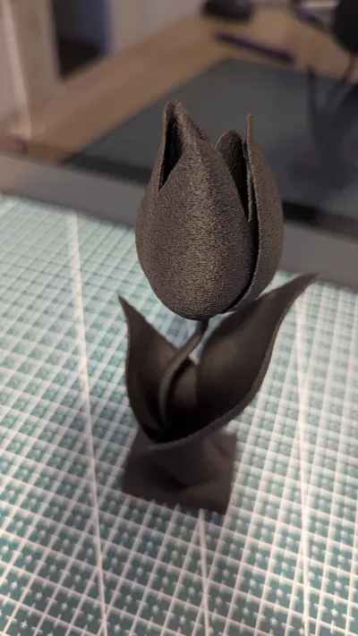 https://makerworld.bblmw.com/makerworld/model/1211332/1226222/ratings/b1d0ec40-05a4-11f0-860e-d3fe028288b1.jpg