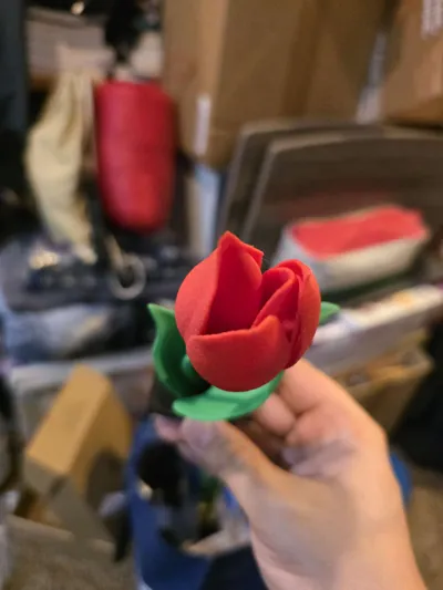 https://makerworld.bblmw.com/makerworld/model/1211332/1238317/ratings/319d9080-2e4b-11f0-9f26-913cb9525d31.jpg