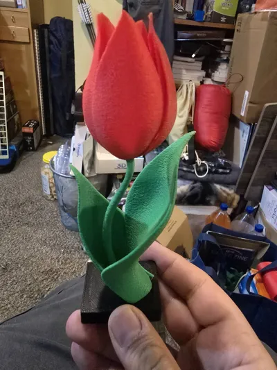 https://makerworld.bblmw.com/makerworld/model/1211332/1238317/ratings/31bab570-2e4b-11f0-9f26-913cb9525d31.jpg
