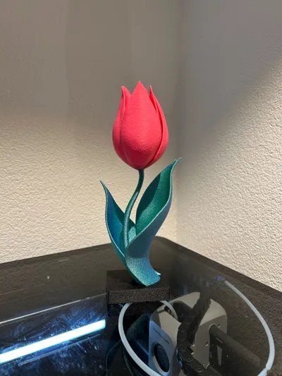 https://makerworld.bblmw.com/makerworld/model/1211332/1238317/ratings/321dcba0-0b2e-11f0-b188-81325003b804.jpg