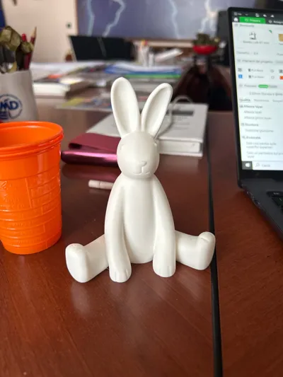 https://makerworld.bblmw.com/makerworld/model/1212123/1227174/ratings/16b69360-4d28-11f0-88f3-57e34e926b9f.jpg
