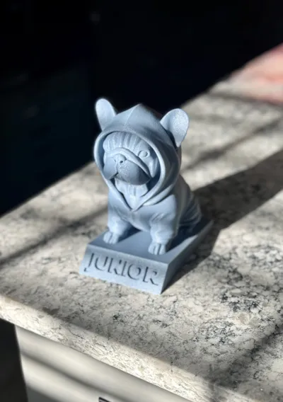 https://makerworld.bblmw.com/makerworld/model/1212674/1227861/ratings/bb6279b0-05e8-11f0-9b66-f7f2ed61832b.jpg