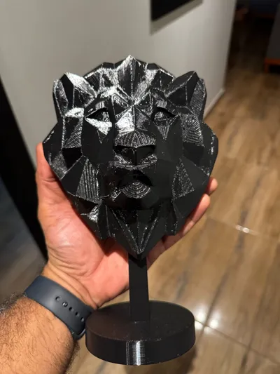 https://makerworld.bblmw.com/makerworld/model/1212806/1427575/ratings/c65e12b0-6c9b-11f0-8706-f9561c1003be.jpg