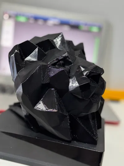 https://makerworld.bblmw.com/makerworld/model/1212806/1427575/ratings/c65e39c0-6c9b-11f0-8706-f9561c1003be.jpg