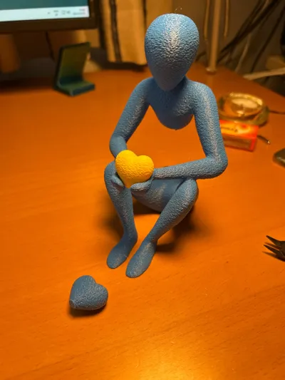 https://makerworld.bblmw.com/makerworld/model/1212943/1228251/ratings/75d13340-2c22-11f0-b996-0d29f1d0ef74.jpg