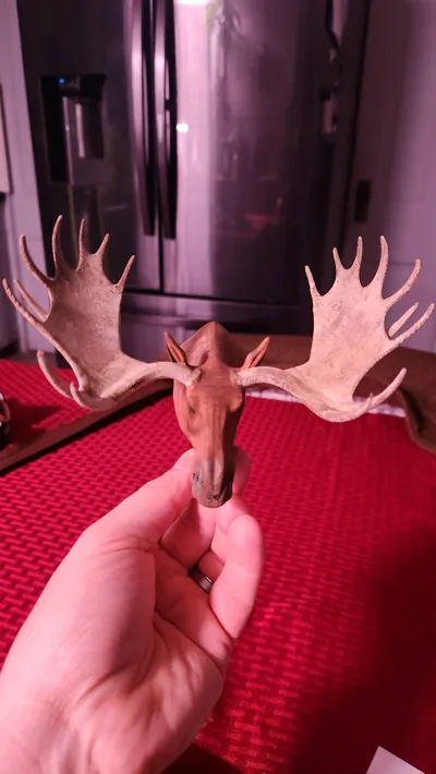 https://makerworld.bblmw.com/makerworld/model/1213026/1228300/ratings/7e9b1e70-1aa0-11f0-8e8e-9f7dbdf3c24b.jpg