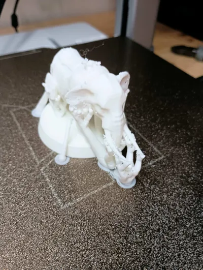 https://makerworld.bblmw.com/makerworld/model/1213035/1247698/ratings/1888d160-e2d0-11f0-84ae-698474278036.jpg