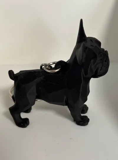 https://makerworld.bblmw.com/makerworld/model/1213479/1228840/ratings/9d19dd10-5e83-11f0-b59e-f1cc151c1249.jpg