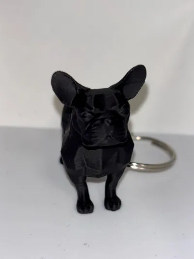 https://makerworld.bblmw.com/makerworld/model/1213479/1228840/ratings/9d1a0420-5e83-11f0-b59e-f1cc151c1249.jpg