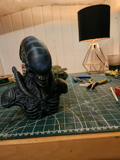 https://makerworld.bblmw.com/makerworld/model/1214070/1320244/ratings/a8613aa0-9179-11f0-9334-1fb04294fbc3.jpg