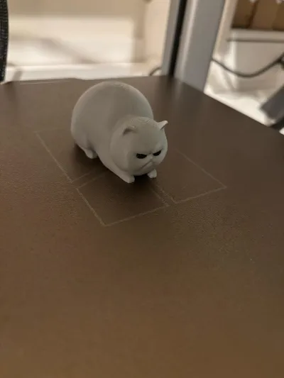 https://makerworld.bblmw.com/makerworld/model/1214744/1230329/ratings/90b70c30-e44f-11f0-b803-0bcf477c2f34.jpg