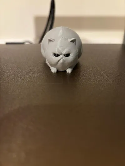 https://makerworld.bblmw.com/makerworld/model/1214744/1230329/ratings/90b7a870-e44f-11f0-b803-0bcf477c2f34.jpg