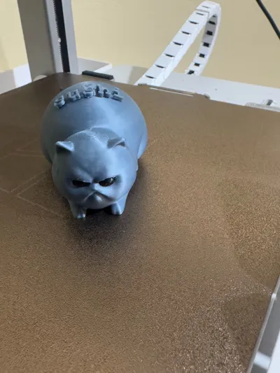 https://makerworld.bblmw.com/makerworld/model/1214744/1239320/ratings/0c644750-dbd9-11f0-ac30-a109b7bb5156.jpg