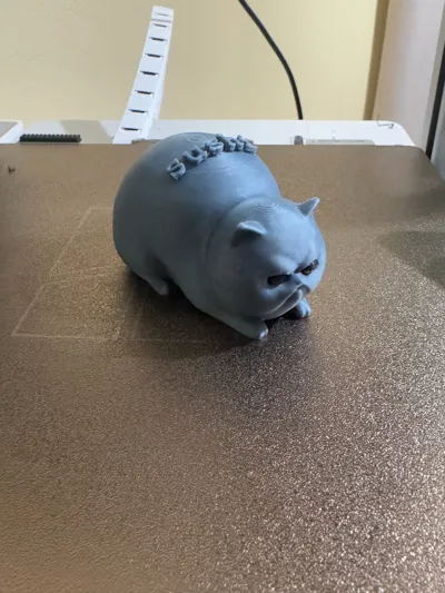 https://makerworld.bblmw.com/makerworld/model/1214744/1239320/ratings/0c66df60-dbd9-11f0-ac30-a109b7bb5156.jpg