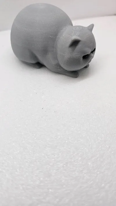 https://makerworld.bblmw.com/makerworld/model/1214744/1239320/ratings/29228c40-79ef-11f0-a0a6-3b661ac23a01.jpg
