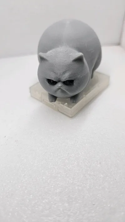 https://makerworld.bblmw.com/makerworld/model/1214744/1239320/ratings/29435ab0-79ef-11f0-a0a6-3b661ac23a01.jpg