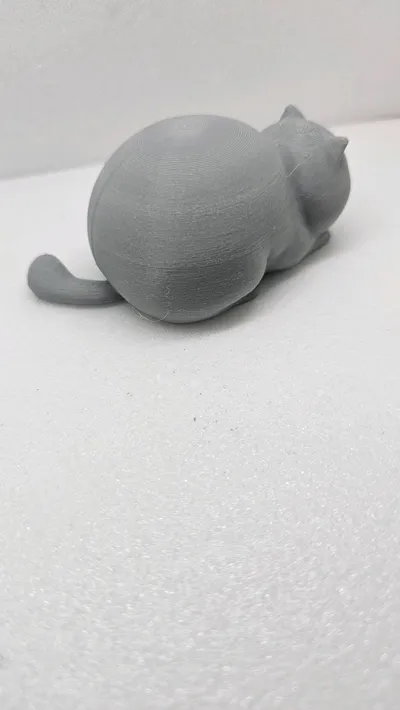 https://makerworld.bblmw.com/makerworld/model/1214744/1239320/ratings/294a86a0-79ef-11f0-a0a6-3b661ac23a01.jpg