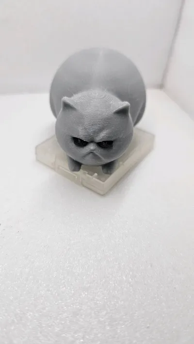 https://makerworld.bblmw.com/makerworld/model/1214744/1239320/ratings/2954e6e0-79ef-11f0-a0a6-3b661ac23a01.jpg
