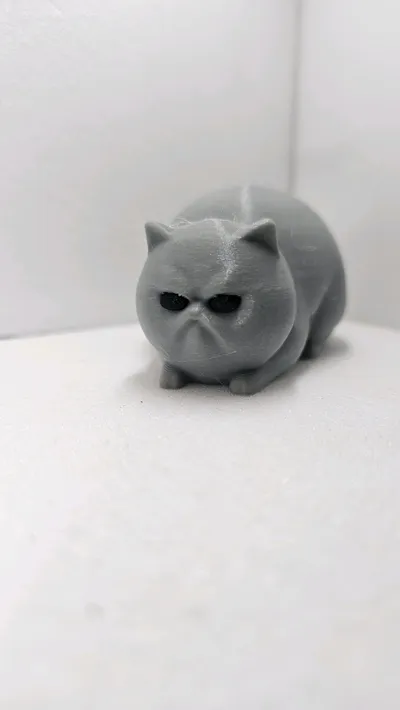 https://makerworld.bblmw.com/makerworld/model/1214744/1239320/ratings/2955d140-79ef-11f0-a0a6-3b661ac23a01.jpg