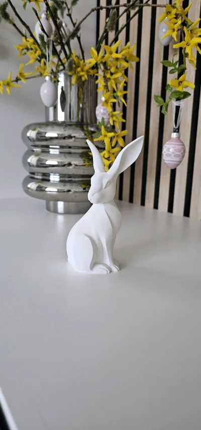 https://makerworld.bblmw.com/makerworld/model/1214934/1230576/ratings/6de93960-12bf-11f0-9070-1d773d72e66c.jpg
