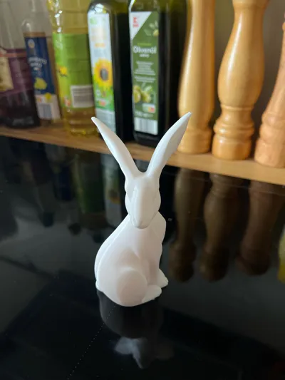 https://makerworld.bblmw.com/makerworld/model/1214934/1230576/ratings/81093900-0c8e-11f0-95d8-c3431ead51b9.jpg
